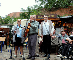 musicians